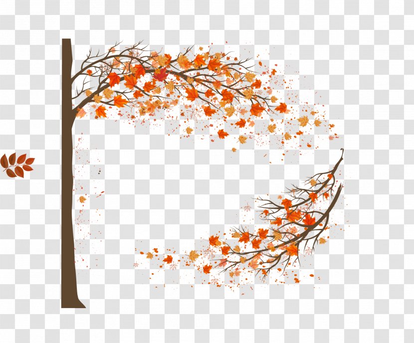 Maple Leaf Autumn Tree - Vector Leaves Transparent PNG