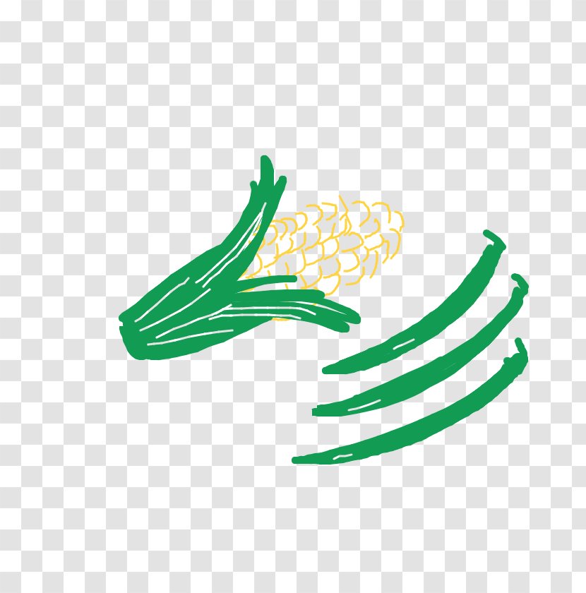 Vegetable Logo - Sweet Corn Transparent PNG