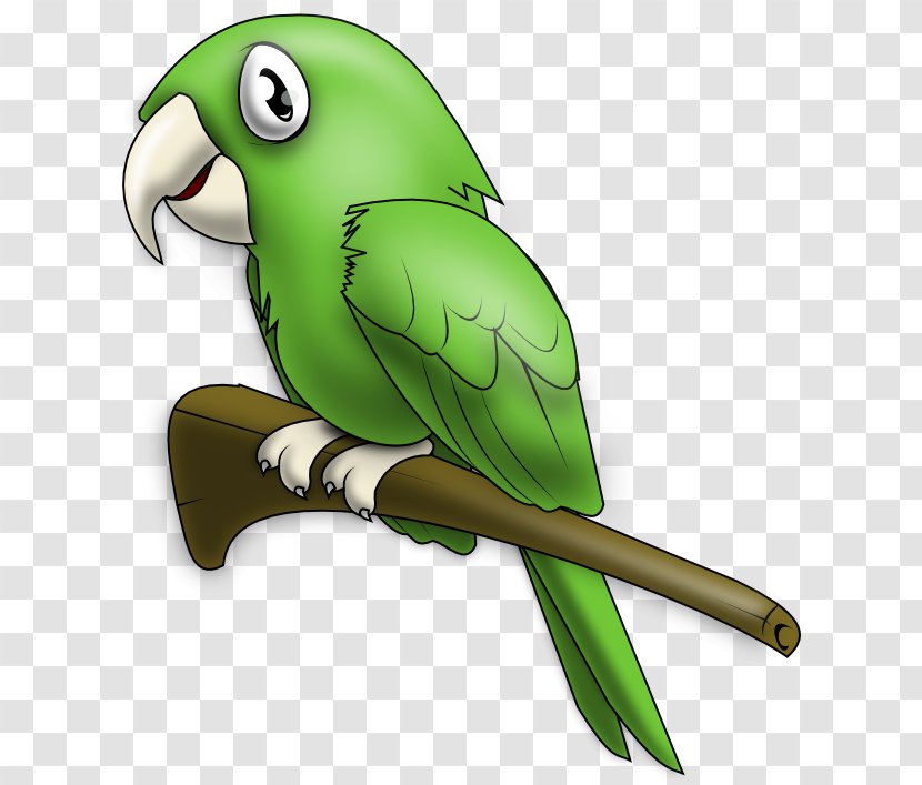 True Parrot Lovebird Clip Art - Wing - Lovely Cliparts Transparent PNG