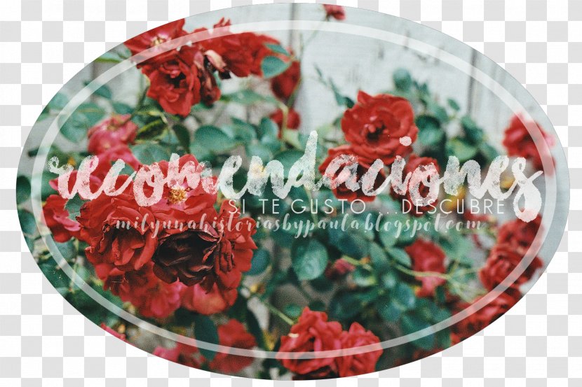 MINE GOT7 Earthlings Abbynormal Flower - Floral Design - Spencer Pll Transparent PNG