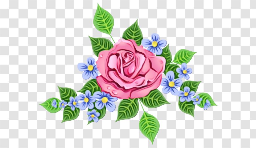 Blue Rose - Family - Garden Roses Plant Transparent PNG