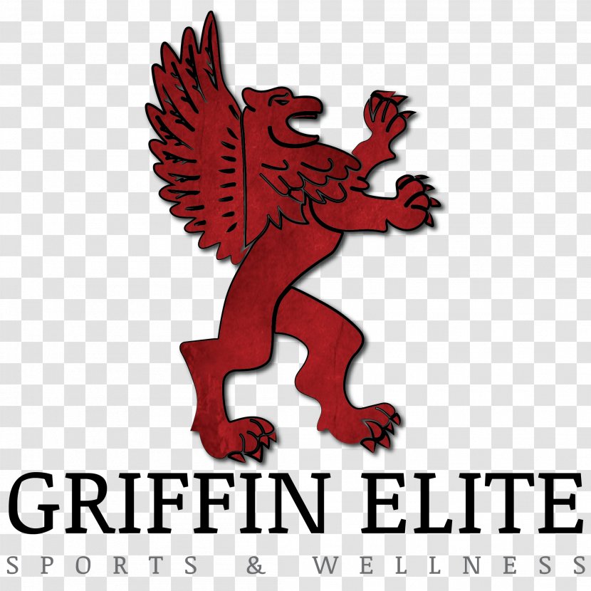 Griffin Elite Sports & Wellness Flying Pig Marathon Health, Fitness And Coach - Kentucky - Center Of Hair Restoration Research Transparent PNG