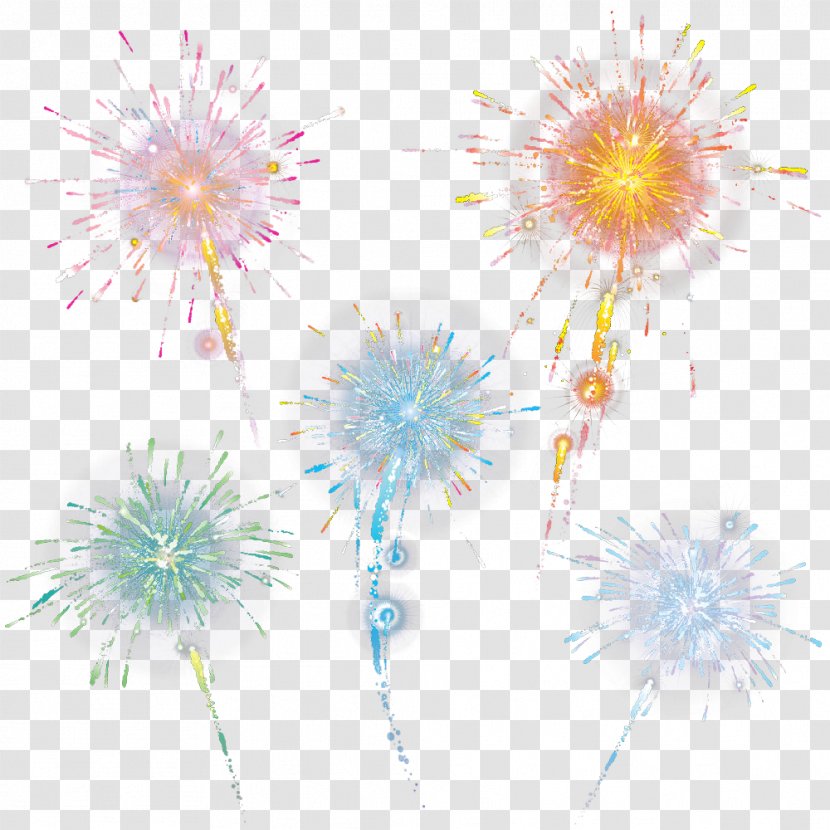 Fireworks Firecracker - Flower Arranging - Small Colored Transparent PNG