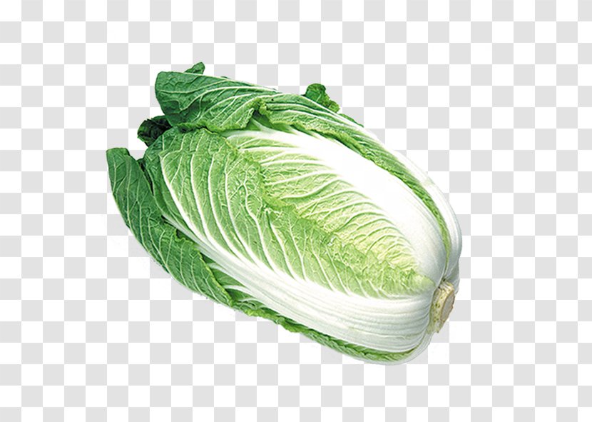 Chinese Cuisine Vegetable Cabbage Fruit - Cartoon - Organic Transparent PNG