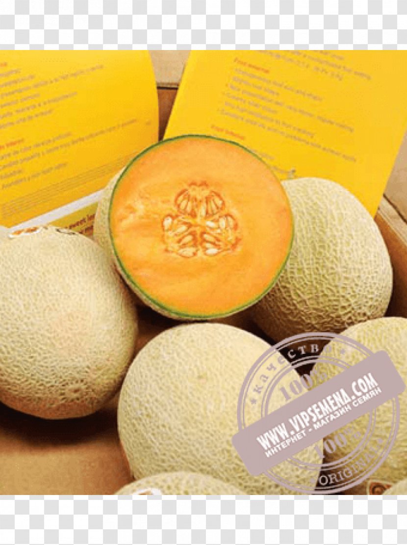 Cantaloupe Honeydew Vegetarian Cuisine Seed Rijk Zwaan - Food Transparent PNG