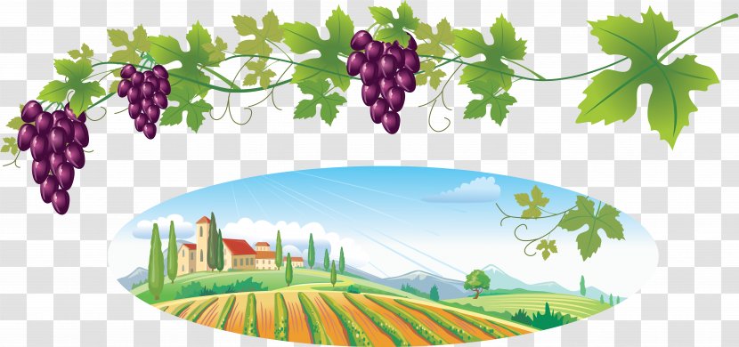 Common Grape Vine Wine Clip Art - Leaf Transparent PNG