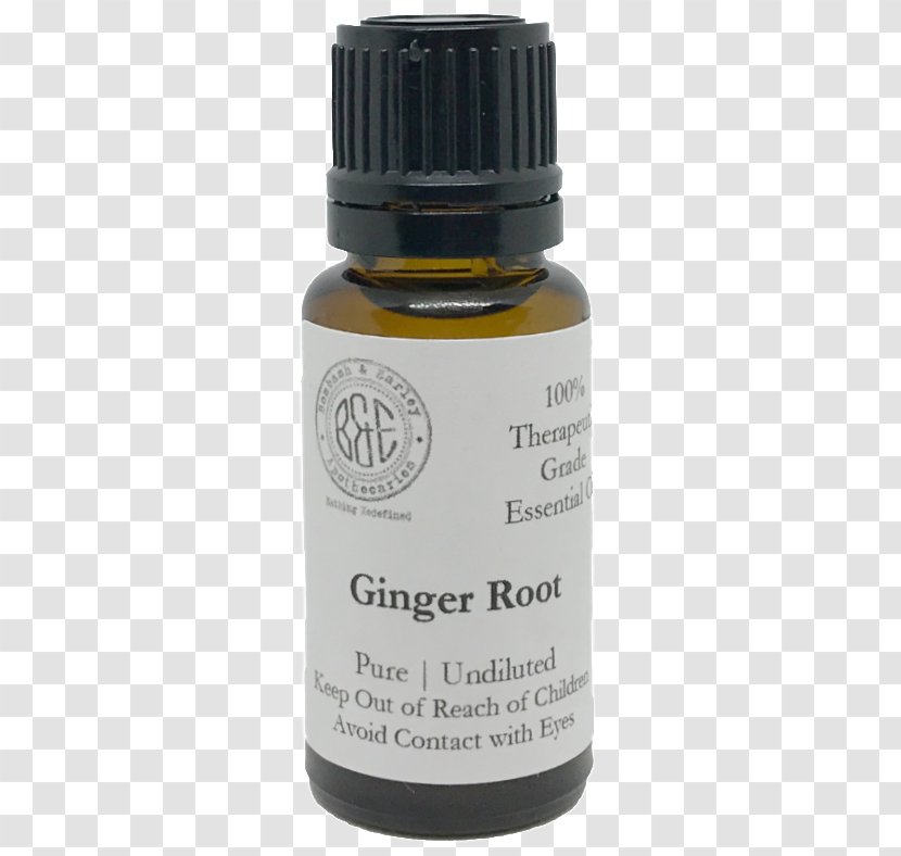 Ginger Essential Oil Cinnamon Leaf Bombash & Earley - Zingiber Transparent PNG