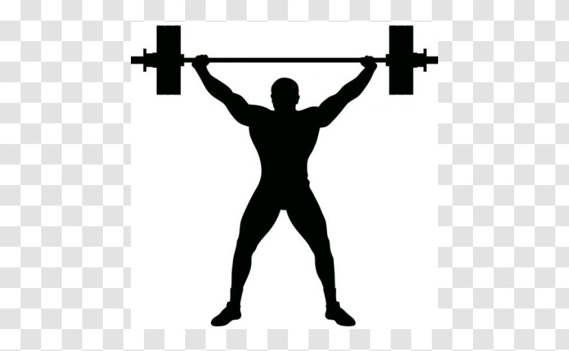 Olympic Weightlifting Royalty-free Weight Training - Weights - Barbell Transparent PNG