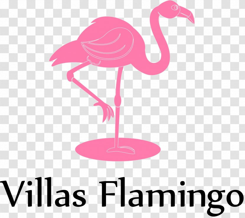 Organization Management Succession Planning Business Pension - Flamingo Transparent PNG