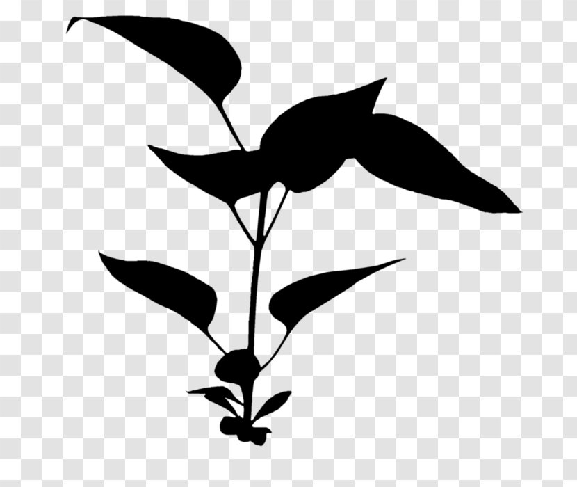 Clip Art Flower Plant Stem Leaf Silhouette - Branch - Plants Transparent PNG