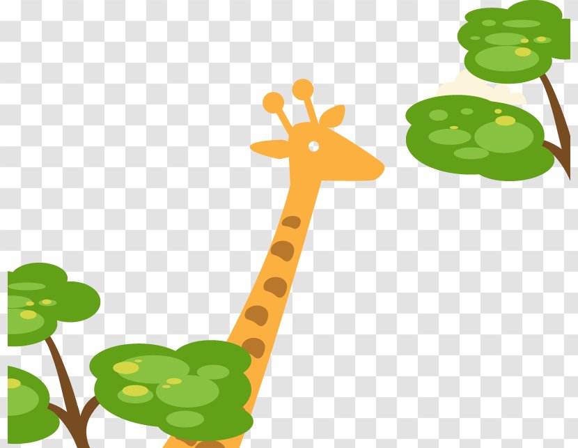 Northern Giraffe Poster Clip Art - Grazing Transparent PNG