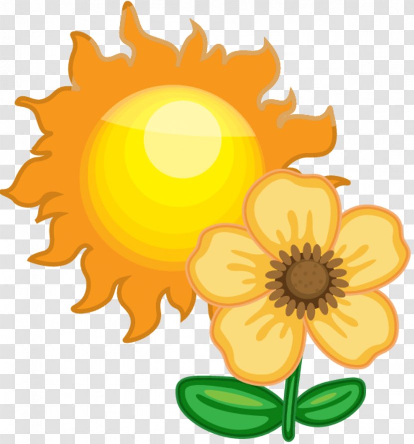 Clip Art Weather Forecasting Sunflower Seed Free Content - Daisy Family Transparent PNG