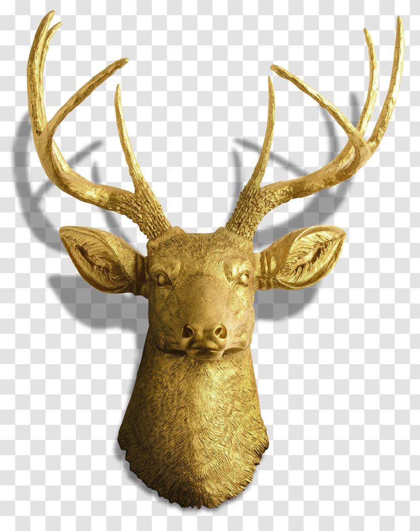 Elk Antler Reindeer Moose - Head - Deer Transparent PNG