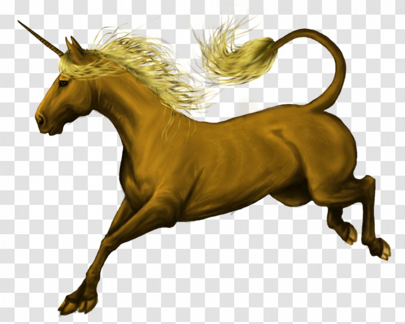 Mane Mustang Stallion Pony Unicorn - Halter Transparent PNG