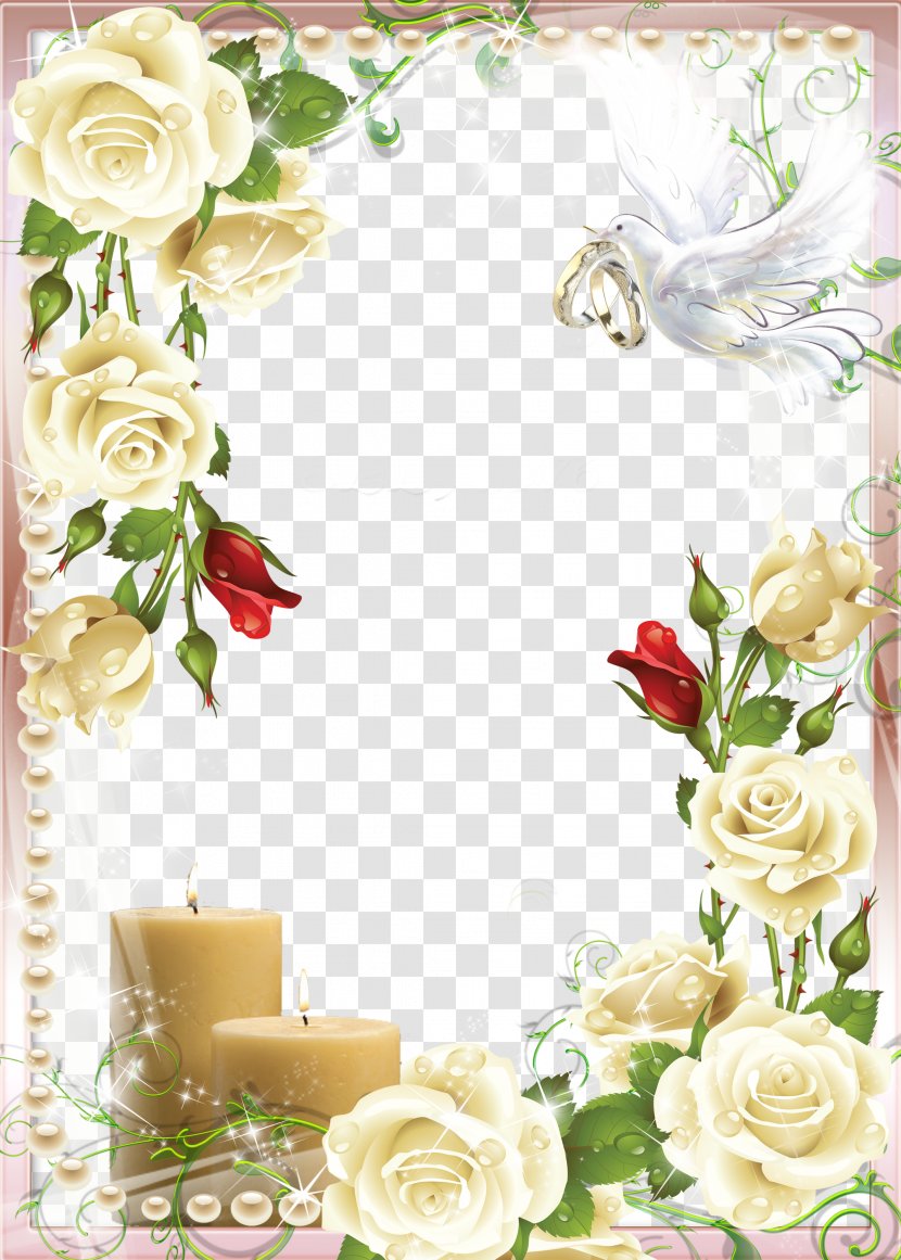 Wedding Frame - Anniversary - Flowering Plant Transparent PNG