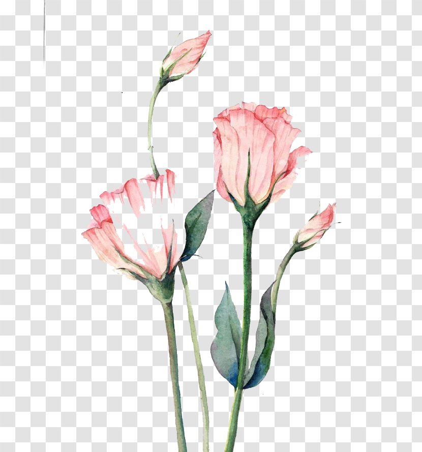 Watercolor Painting Flower Autumn - Petal - Flowers Transparent PNG