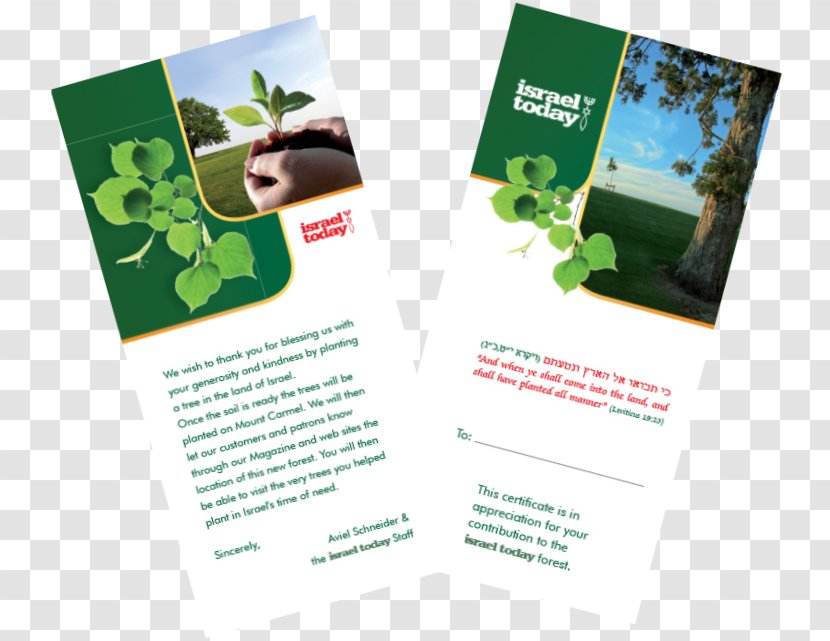 Advertising Product Design Brand - Brochure - Fig Trees In Israel Transparent PNG