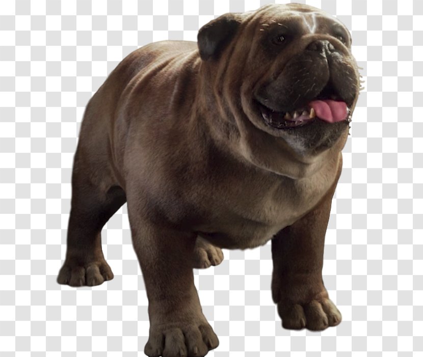 Dorset Olde Tyme Bulldogge Lockjaw Toy Bulldog Inhumans Laufey - Odin Transparent PNG