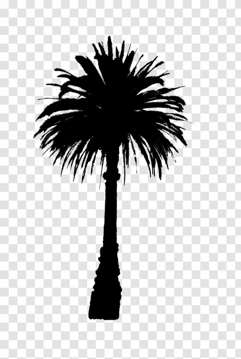 Asian Palmyra Palm Date Line Trees Silhouette - Monochrome - Black Transparent PNG