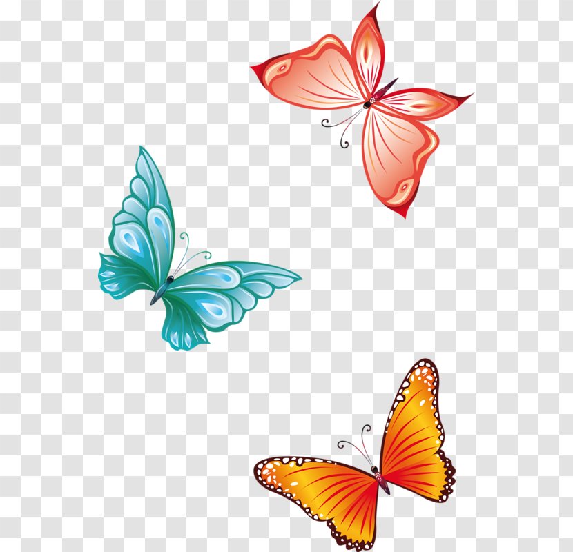 Butterfly Insect Clip Art - Document - Papillon Transparent PNG