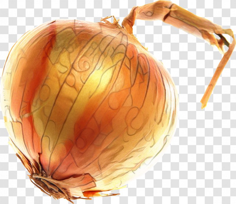 Yellow Onion Shallots Pumpkin Calabaza Gourd - Web Design - Food Transparent PNG