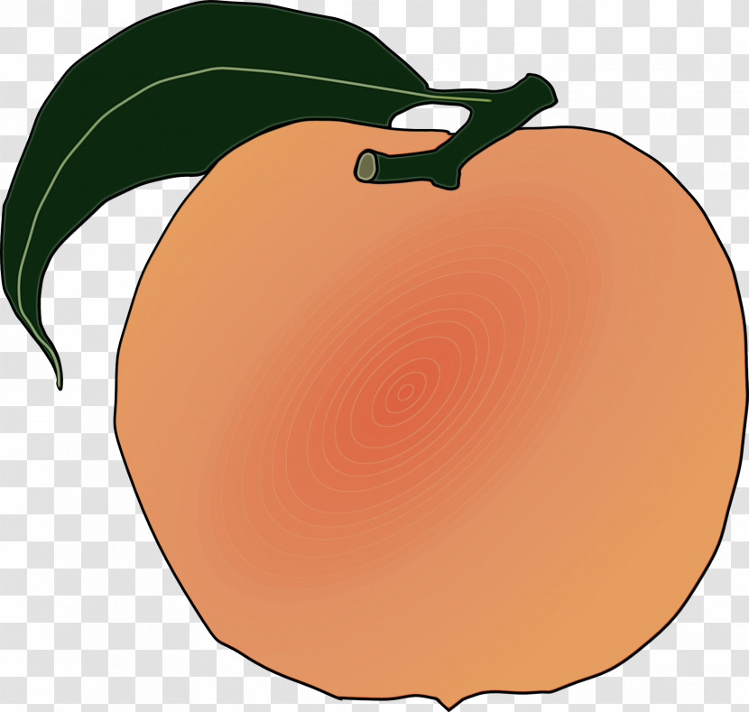 Apple Peach Computer Apple Transparent PNG