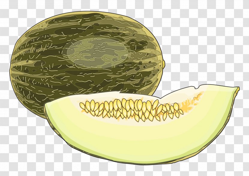 Galia Muskmelon Honeydew Cantaloupe Melon - Plant Jaw Transparent PNG
