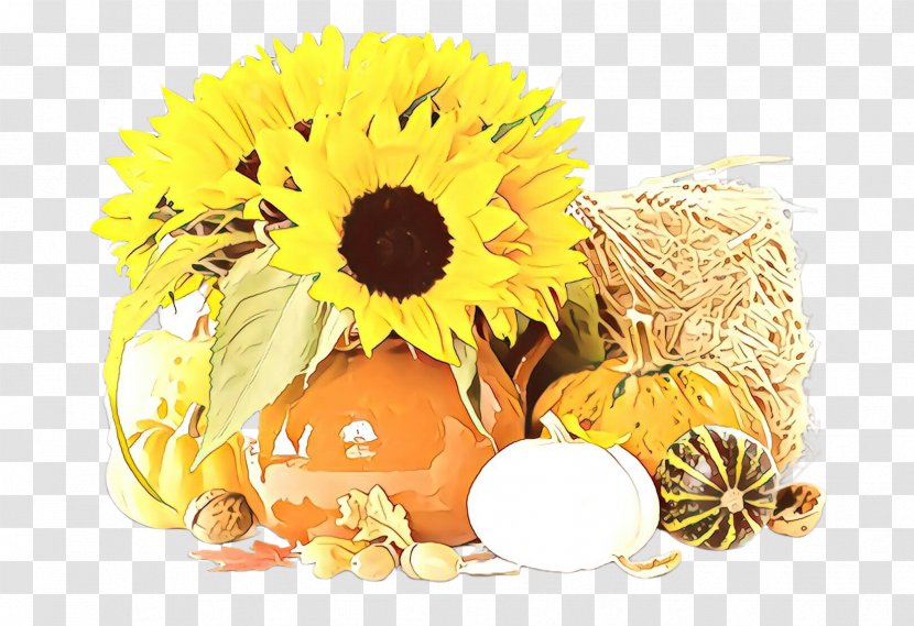 Sunflower - Mayweed - Still Life English Marigold Transparent PNG
