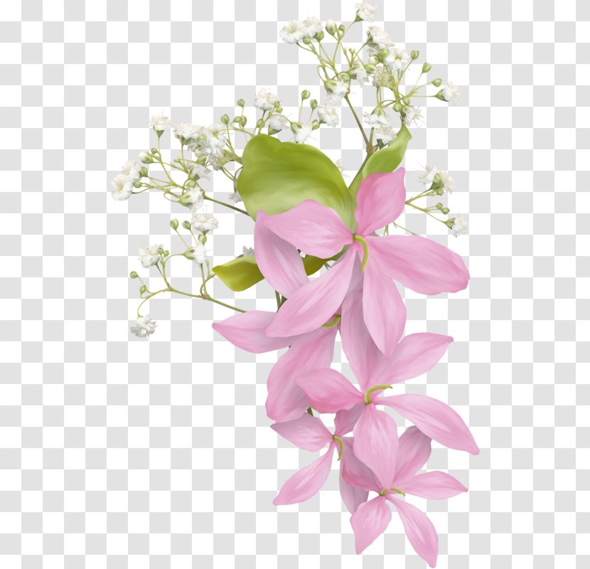 Floral Design Flower Bouquet Petal Clip Art - Cut Flowers Transparent PNG