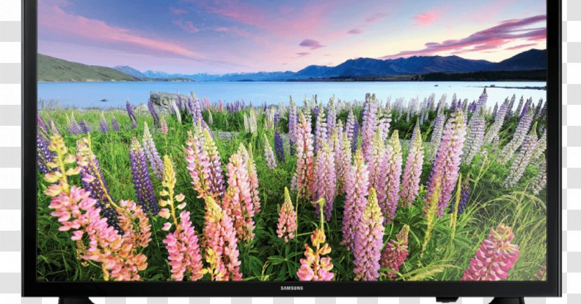 Samsung J5000 1080p LED-backlit LCD Television - Grass Family Transparent PNG