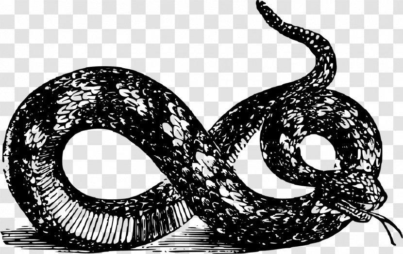 Snake Libertarianism Gadsden Flag Clip Art - Reptile - Belly Transparent PNG