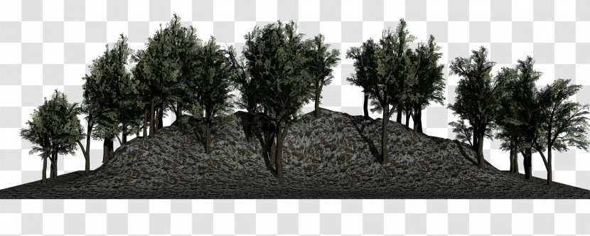 Forest Desktop Wallpaper Tree - Digital Media - Landscape Transparent PNG