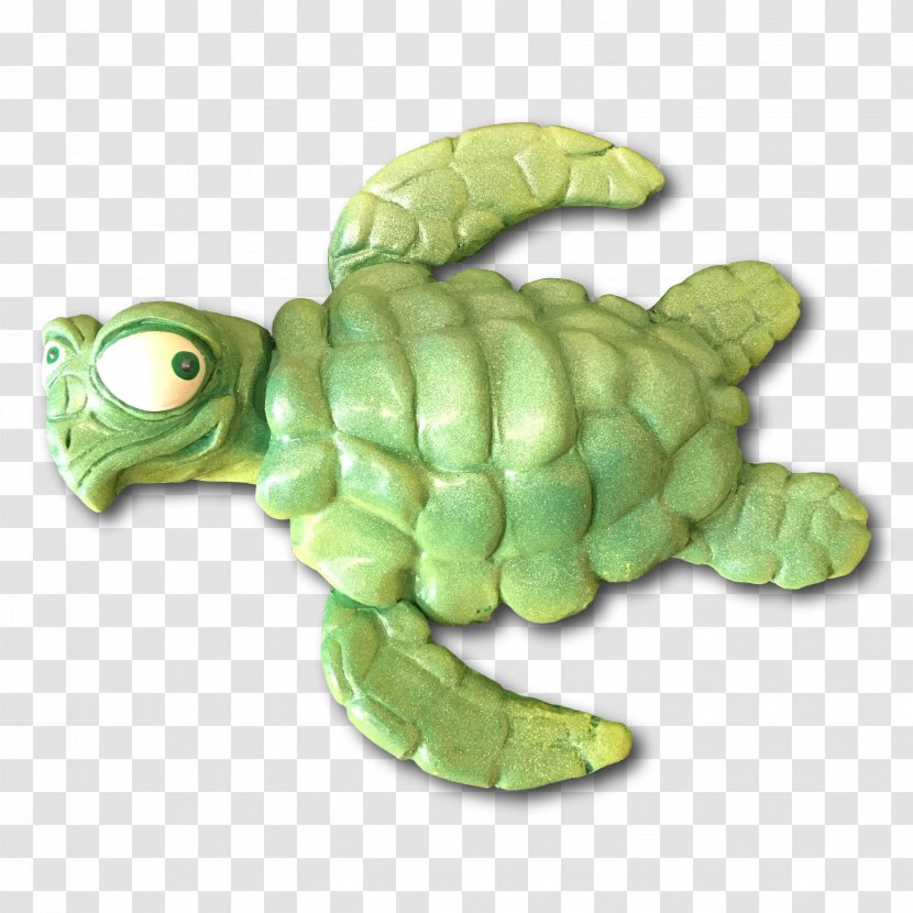 Green Sea Turtle Tortoise Flipper - Organism Transparent PNG