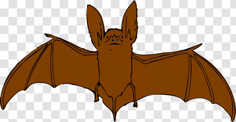 Bat Free Content Clip Art - Cartoon - Brown Flying Squirrel Transparent PNG