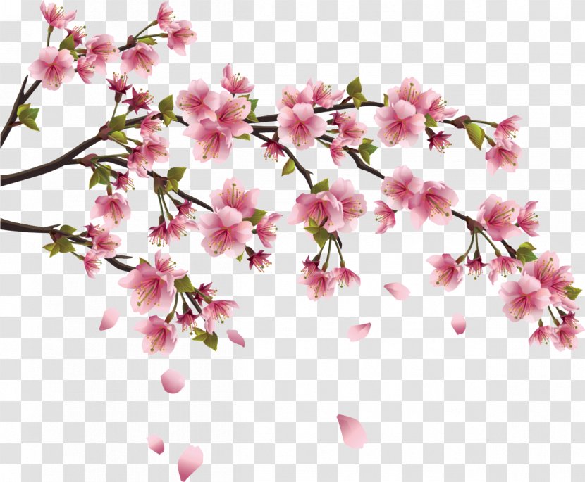 Cherry Blossom Paper Wall Decal Branch - Twig - Column Transparent PNG