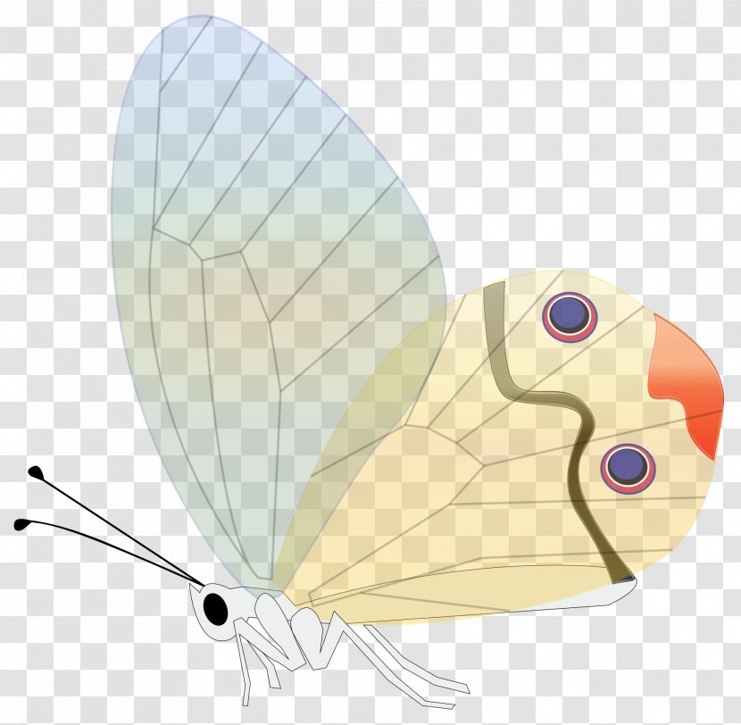 Butterfly Clip Art - Insect - Wings Transparent PNG