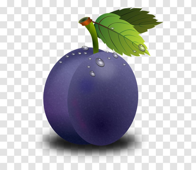 Clip Art Openclipart Plum Fruit Free Content - Bilberry - Edible Gardens Malaysia Transparent PNG