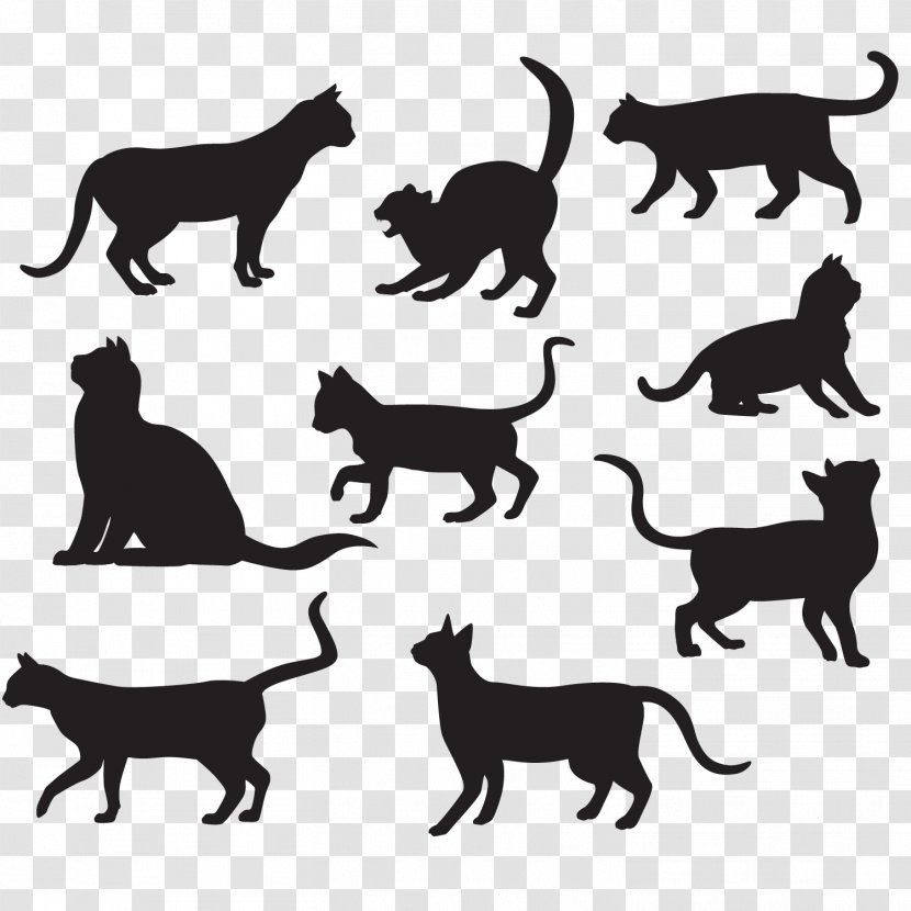 Cat Silhouette Poster Illustration - Small To Medium Sized Cats - Pet Vector Material Transparent PNG