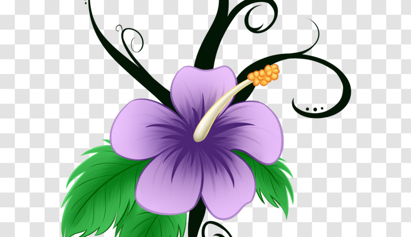 Flower Purple Petal Plant Violet Transparent PNG