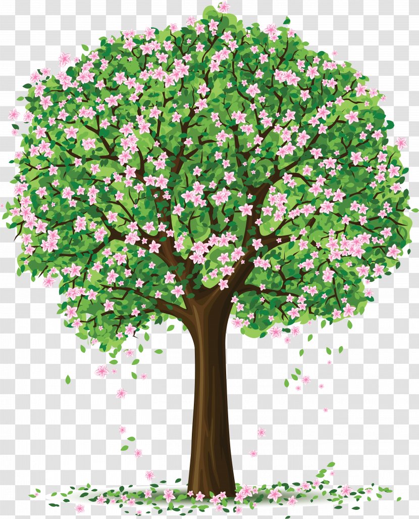Vector Graphics Tree Clip Art Drawing - Arbor Day - Sakura Flower Blossom Trees Transparent PNG