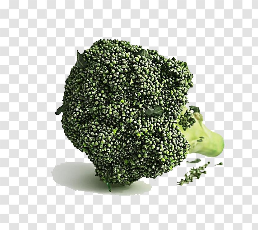 3D Modeling Computer Graphics Broccoli Download Cinema 4D - 3d - Vegetables Transparent PNG