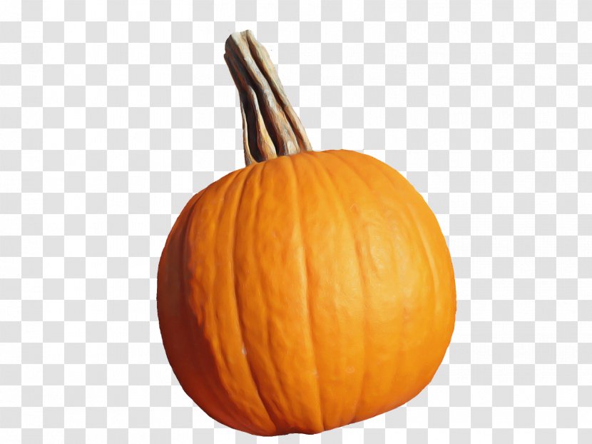 Pumpkin - Cucurbita - Winter Squash Food Transparent PNG