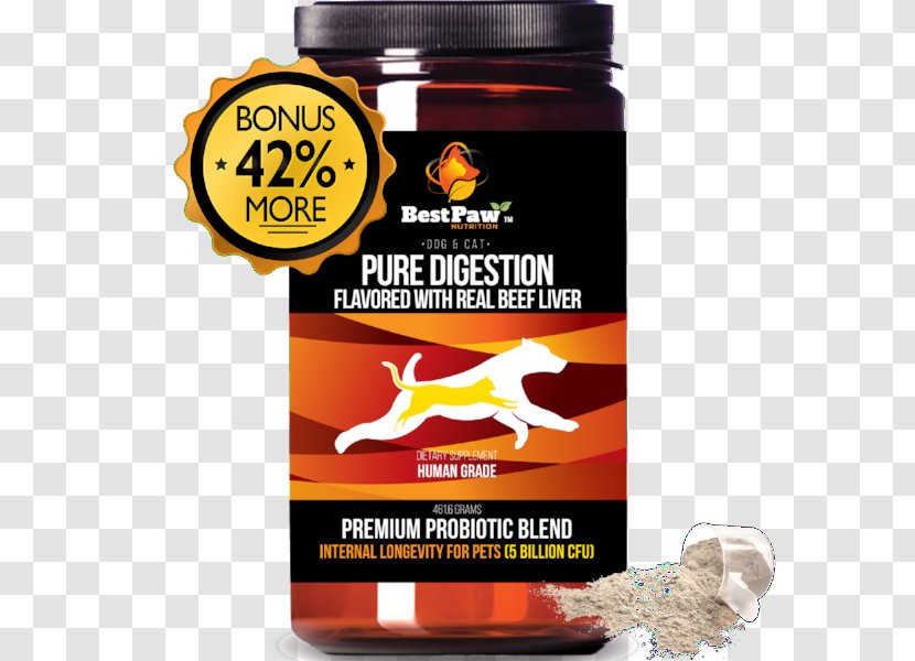 Dietary Supplement Probiotic Digestive Enzyme Prebiotic Digestion - Health Transparent PNG