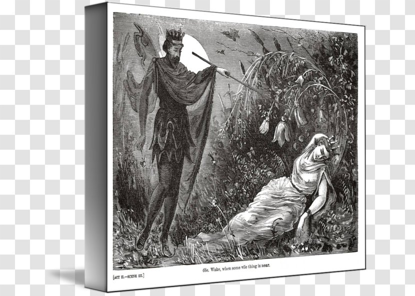 Twelfth Night A Midsummer Night's Dream Sir Toby Belch Richard III Andrew Aguecheek - Imagekind - Scene Transparent PNG