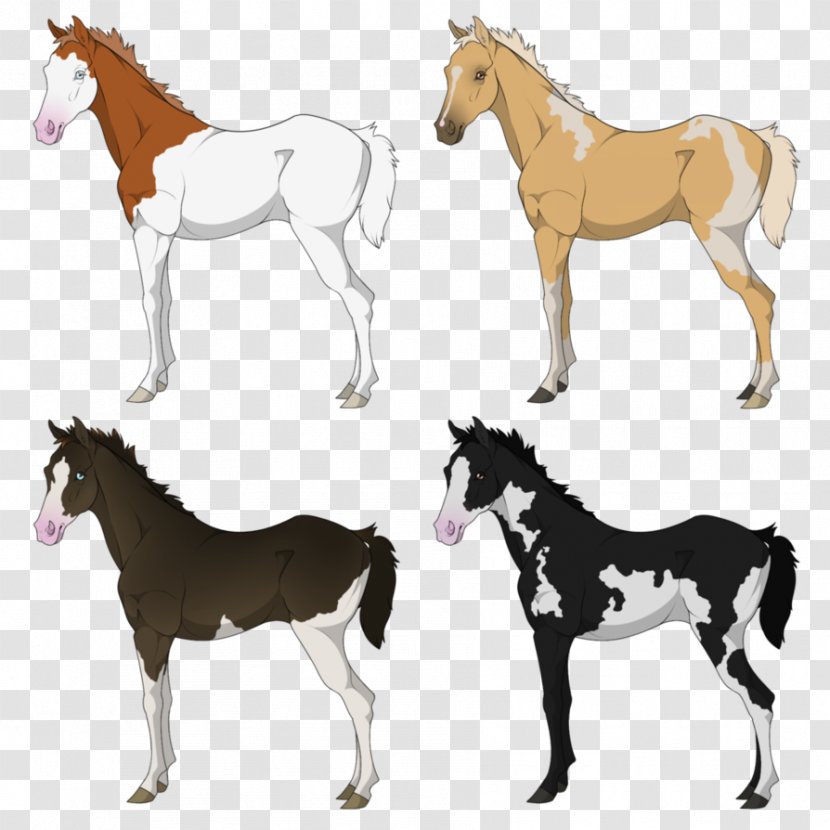 Mustang Foal Mare Stallion Colt - Halter Transparent PNG