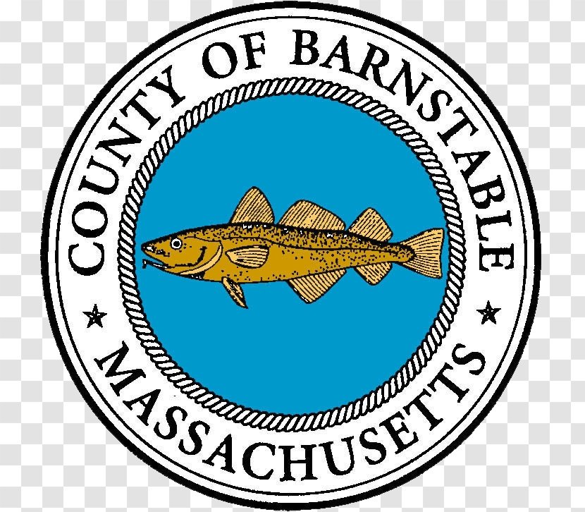 Barnstable Veteran's Day (Offices Closed) Information Luncheon Maine Surfing - Organization - United States Of America Transparent PNG