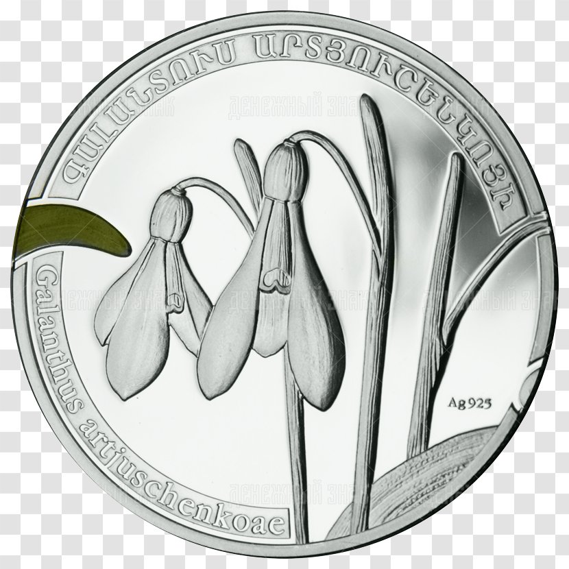 Central Bank Of Republic Armenia Perth Mint Coin Armenian Dram Transparent PNG
