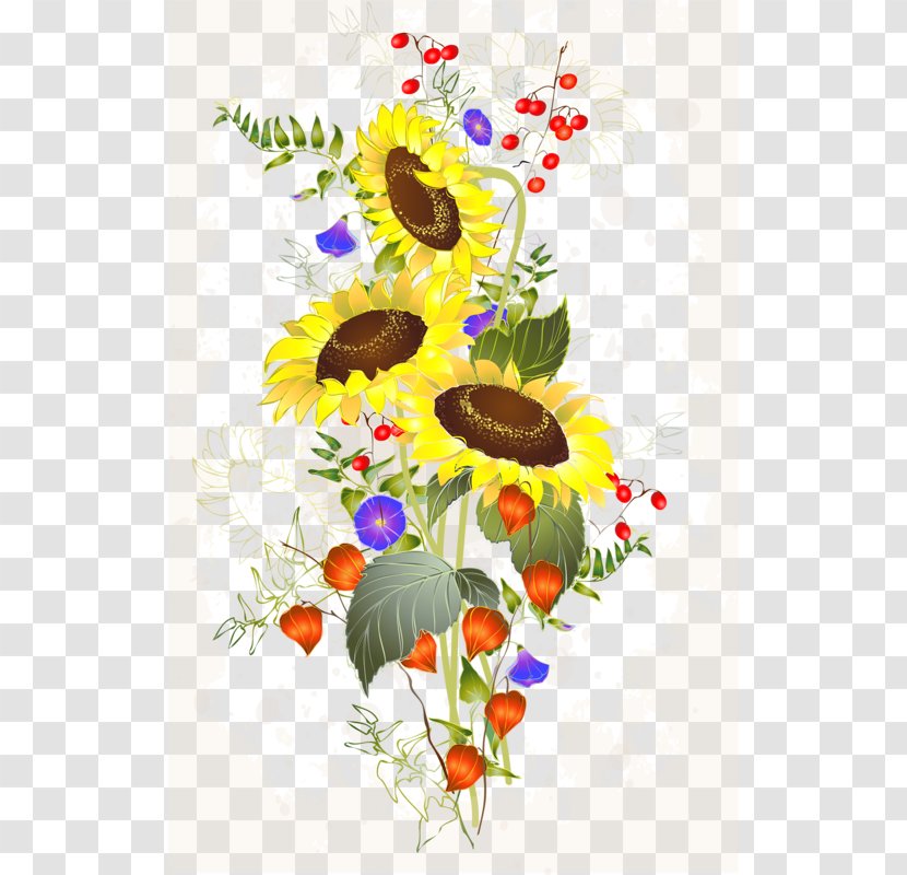 Photography Royalty-free Illustration - Art - Sunflower Transparent PNG