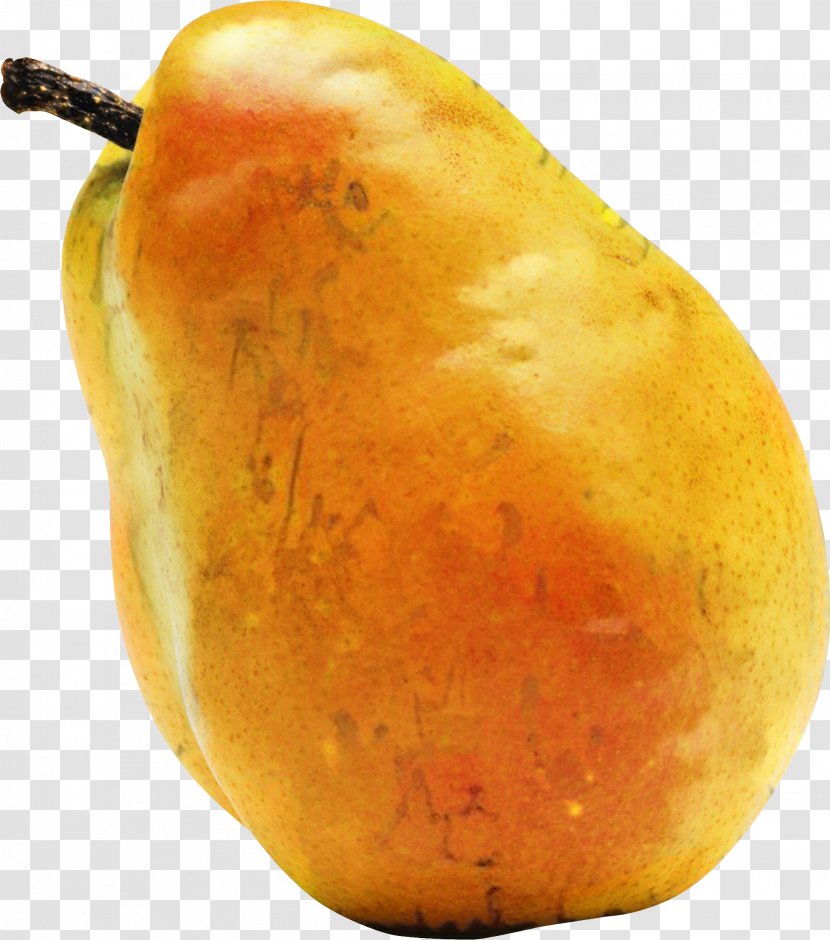 Vegetables Cartoon - Root - Mango Sweet Potato Transparent PNG