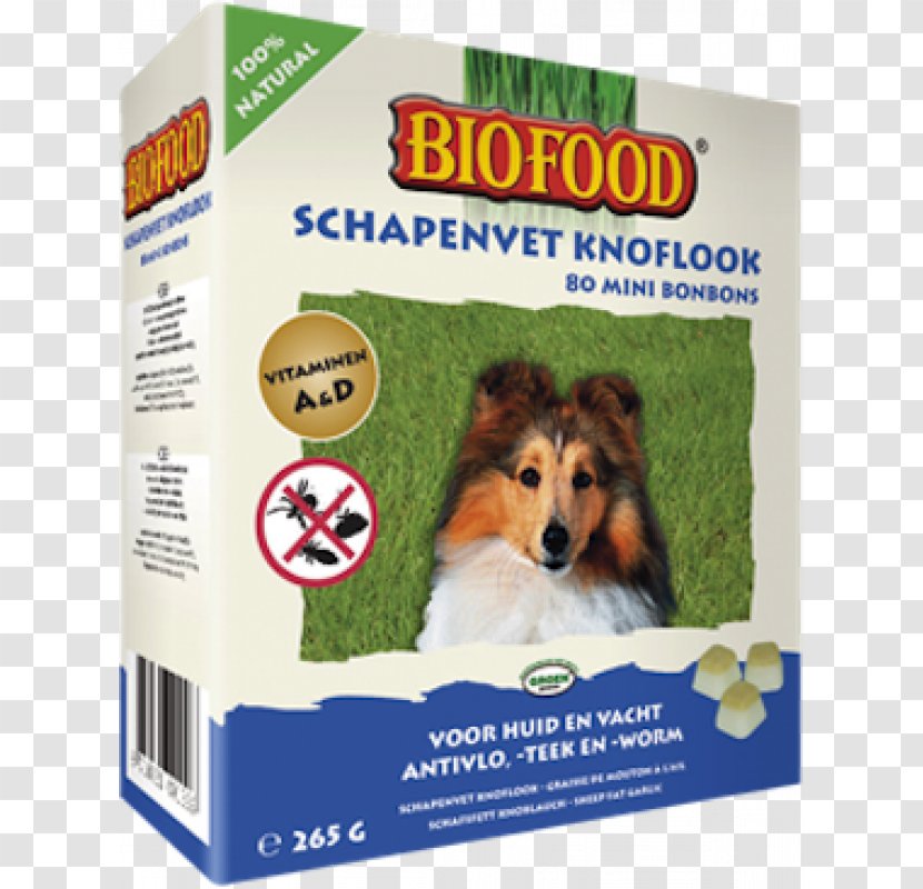 Puppy Dog Food Cat - Breeder Transparent PNG